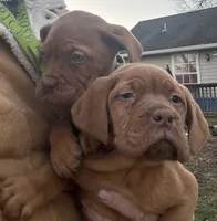 processed/badd4f18-e022-4cca-b942-0d256e5c5520/listing/1824be4a-1c7a-4be4-bf92-a8b748c8e9dc/0bdc5d75-8b3f-40e5-af3d-a95cd86ed09a