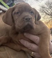 processed/badd4f18-e022-4cca-b942-0d256e5c5520/listing/1824be4a-1c7a-4be4-bf92-a8b748c8e9dc/36fbcd07-a8ec-4b31-a122-5839dd9dd4ca