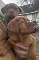 processed/badd4f18-e022-4cca-b942-0d256e5c5520/listing/1824be4a-1c7a-4be4-bf92-a8b748c8e9dc/542dabb9-0f34-484f-b156-7bbbcafc227c