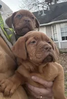 processed/badd4f18-e022-4cca-b942-0d256e5c5520/listing/1824be4a-1c7a-4be4-bf92-a8b748c8e9dc/7e997277-6a21-4234-a9fc-61e8ca216c6d