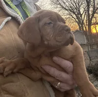 processed/badd4f18-e022-4cca-b942-0d256e5c5520/listing/1824be4a-1c7a-4be4-bf92-a8b748c8e9dc/c20421c2-e9cc-4c48-a761-b32ed7c8479e