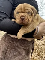 processed/badd4f18-e022-4cca-b942-0d256e5c5520/listing/2409d3dc-2137-4020-9c29-b14dc0cedb0c/133f15f3-f8b0-4c7b-8b53-5b037d0b428b