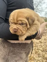 processed/badd4f18-e022-4cca-b942-0d256e5c5520/listing/2409d3dc-2137-4020-9c29-b14dc0cedb0c/2a1bc40b-820f-4737-b7d4-2c6df398a58f