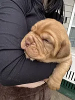 processed/badd4f18-e022-4cca-b942-0d256e5c5520/listing/2409d3dc-2137-4020-9c29-b14dc0cedb0c/e84f14e3-48b0-41b5-aa83-56dbb6b886d0