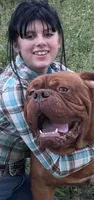 Magnus , a male Dogue de Bordeaux for sale in Tulsa, OK – 2 of 5