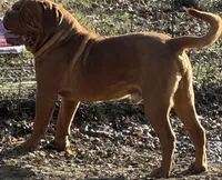 processed/badd4f18-e022-4cca-b942-0d256e5c5520/listing/5fd186f9-e521-43de-93e8-1855a6c635cb/04d61f65-2161-4152-8c63-babdf35281a0