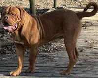 processed/badd4f18-e022-4cca-b942-0d256e5c5520/listing/5fd186f9-e521-43de-93e8-1855a6c635cb/220d44cf-b9c2-44c2-95b9-413c902ac3f4