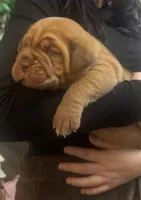 processed/badd4f18-e022-4cca-b942-0d256e5c5520/listing/5fd186f9-e521-43de-93e8-1855a6c635cb/2c765527-40b9-45d0-8b35-f01878cfd73f