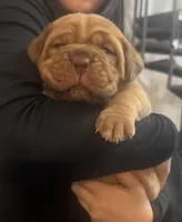 processed/badd4f18-e022-4cca-b942-0d256e5c5520/listing/5fd186f9-e521-43de-93e8-1855a6c635cb/63ae53c9-8621-4396-a08e-959b5570a15a