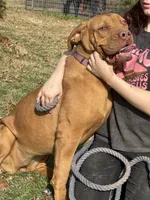 processed/badd4f18-e022-4cca-b942-0d256e5c5520/listing/6f31e268-3c79-460b-9eb9-4ecd8c225e77/4fa73d3e-22c1-48ab-b797-c24f682e5c3a