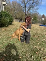 processed/badd4f18-e022-4cca-b942-0d256e5c5520/listing/6f31e268-3c79-460b-9eb9-4ecd8c225e77/5d57cb3c-a1a2-4d48-8092-2ef9172bd85c