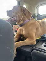 processed/badd4f18-e022-4cca-b942-0d256e5c5520/listing/6f31e268-3c79-460b-9eb9-4ecd8c225e77/63b62855-7003-4c1d-b98c-587bb52294e9