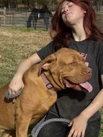 processed/badd4f18-e022-4cca-b942-0d256e5c5520/listing/6f31e268-3c79-460b-9eb9-4ecd8c225e77/7ecfd8d2-250c-46cf-a970-36eadb955c6f