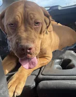 processed/badd4f18-e022-4cca-b942-0d256e5c5520/listing/6f31e268-3c79-460b-9eb9-4ecd8c225e77/886dbaf9-a6c5-4a32-9b5c-d2dba3593a85