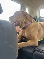 processed/badd4f18-e022-4cca-b942-0d256e5c5520/listing/6f31e268-3c79-460b-9eb9-4ecd8c225e77/8b51e069-19c4-4c9b-b90b-eb80229c87b7