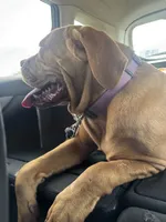 processed/badd4f18-e022-4cca-b942-0d256e5c5520/listing/6f31e268-3c79-460b-9eb9-4ecd8c225e77/d0df51a4-65b1-4a69-8e47-f886e322a2ab