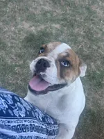 processed/badd4f18-e022-4cca-b942-0d256e5c5520/listing/72597756-1e31-4828-973c-fe32898becac/433a434c-13d8-4797-8177-928eb6e3a52e