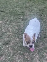 processed/badd4f18-e022-4cca-b942-0d256e5c5520/listing/72597756-1e31-4828-973c-fe32898becac/a00f9dc5-2993-4ca1-a545-a30df8c3f740