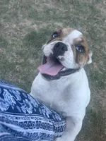 processed/badd4f18-e022-4cca-b942-0d256e5c5520/listing/72597756-1e31-4828-973c-fe32898becac/a482df1f-ee7e-4266-bbeb-2515db48db36