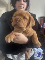 processed/badd4f18-e022-4cca-b942-0d256e5c5520/listing/95ce7e01-ccb1-41ce-a640-bd0783839ae9/3f8cfc77-509c-4b00-ad5c-45fb5acca1a9