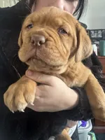 processed/badd4f18-e022-4cca-b942-0d256e5c5520/listing/95ce7e01-ccb1-41ce-a640-bd0783839ae9/533301a1-abf3-4629-ae88-0156f5d046b4