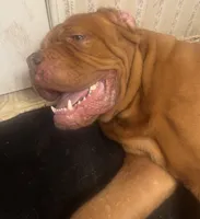 processed/badd4f18-e022-4cca-b942-0d256e5c5520/listing/95ce7e01-ccb1-41ce-a640-bd0783839ae9/7f9d252f-23ac-4c65-bef8-21813adba573