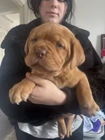 processed/badd4f18-e022-4cca-b942-0d256e5c5520/listing/95ce7e01-ccb1-41ce-a640-bd0783839ae9/9cf89b81-84a8-4064-8d5d-e04a9623407a