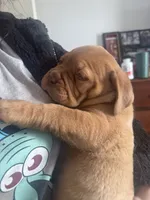 processed/badd4f18-e022-4cca-b942-0d256e5c5520/listing/95ce7e01-ccb1-41ce-a640-bd0783839ae9/db2ffb5b-ec71-4f89-a45a-e0490ec1a772