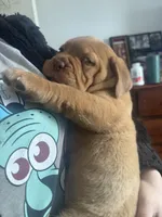 processed/badd4f18-e022-4cca-b942-0d256e5c5520/listing/95ce7e01-ccb1-41ce-a640-bd0783839ae9/de7589ff-fb65-4cab-88a9-26107d263e90