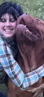 Magnus , a male Dogue de Bordeaux for sale in Tulsa, OK – 1 of 5