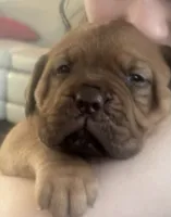 processed/badd4f18-e022-4cca-b942-0d256e5c5520/listing/bed4b5ac-8e6f-481b-9e59-e2e6ff091be5/884c3c67-f256-40e8-be6e-5f43f70f6518