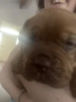 processed/badd4f18-e022-4cca-b942-0d256e5c5520/listing/bed4b5ac-8e6f-481b-9e59-e2e6ff091be5/c939bb7b-10da-4da9-969d-dd7eca0f6642