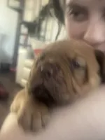 processed/badd4f18-e022-4cca-b942-0d256e5c5520/listing/bed4b5ac-8e6f-481b-9e59-e2e6ff091be5/e367bd12-0931-4545-8fec-cd0a89bfea1c