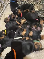 processed/bae4db58-386c-4ef4-a005-358005c2d4fa/facility/1851d2c7-4bd7-4d0c-bb73-7e051eb258f0