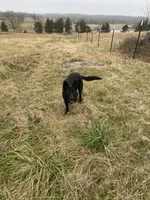 processed/bae4db58-386c-4ef4-a005-358005c2d4fa/facility/2a83b2c8-2a3b-44d9-bca1-6a5e033d43fe