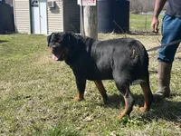 processed/bae4db58-386c-4ef4-a005-358005c2d4fa/facility/85e026bd-d75c-421b-9f3b-d564b950b1e8