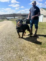 processed/bae4db58-386c-4ef4-a005-358005c2d4fa/facility/96979ba6-1d9f-4672-8cfa-063d54c0e1a2