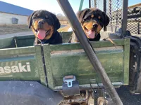 processed/bae4db58-386c-4ef4-a005-358005c2d4fa/facility/a33c5ed6-b805-48bc-9ef4-e2ea0df0e55e