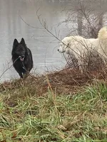 processed/bae4db58-386c-4ef4-a005-358005c2d4fa/facility/c38bc954-cc83-4991-b687-bc9b432d32b5