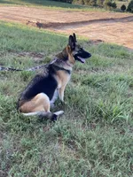 processed/bae4db58-386c-4ef4-a005-358005c2d4fa/facility/ee51150b-3671-454f-802b-cda92b2d1906