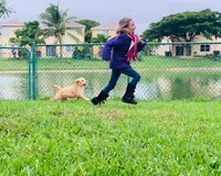 processed/bae7e4ae-63a0-4318-a1d0-c7a1a33c4445/facility/0ac428c8-1775-4686-8697-6891a2e75ff0