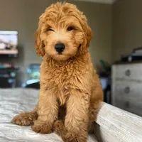 processed/bae7e4ae-63a0-4318-a1d0-c7a1a33c4445/facility/0dfb3d2b-88ab-40a7-9a7c-22141fad3dc4