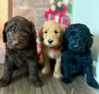 processed/bae7e4ae-63a0-4318-a1d0-c7a1a33c4445/facility/2b108c6a-c519-444c-b44d-d3afdd478957