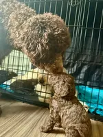 processed/bae7e4ae-63a0-4318-a1d0-c7a1a33c4445/facility/b19a1b78-0da7-4593-9b9e-d8be4cc60e75