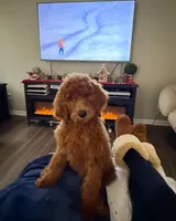 processed/bae7e4ae-63a0-4318-a1d0-c7a1a33c4445/facility/dfd48f34-ddc5-4811-b580-6cdcd816be25