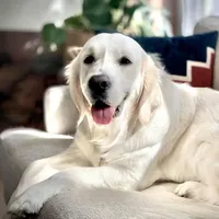 processed/bae93724-3497-4c9e-9a56-068fb18bdc0f/facility/2dfc11db-78c0-43c4-9fff-5444adf282e5