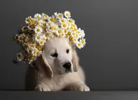 processed/bae93724-3497-4c9e-9a56-068fb18bdc0f/facility/3bf29b29-1fe8-426e-9f60-02104c819ef6