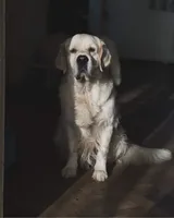 processed/bae93724-3497-4c9e-9a56-068fb18bdc0f/facility/5e5e1242-67c5-4e3f-baba-5849c9754d85