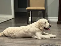 processed/bae93724-3497-4c9e-9a56-068fb18bdc0f/facility/eec2839e-2f13-400f-bf5e-c290b26e4520