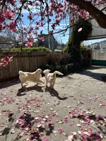 processed/bae93724-3497-4c9e-9a56-068fb18bdc0f/facility/ff3906ef-6f2d-4a29-8c03-f4cb094e5a75